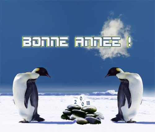 Voeux 2009, les pingouins par www.vdgraphics.com